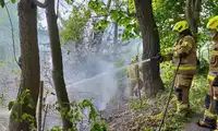Podpalenie trawy w Tomaszowie Bolesławieckim?