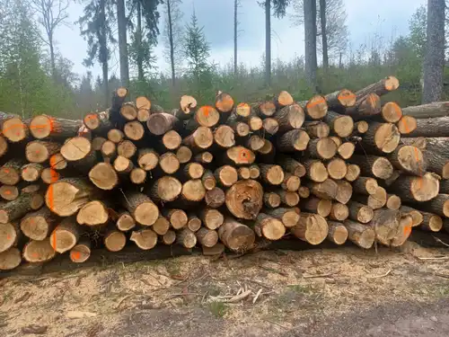 Drewno kominkowe dąb 