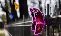 Bobry może nie świecą, ale nie musimy ich wypożyczać