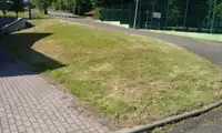Po uszy w głupocie