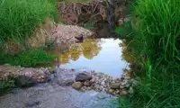 Nie jest dobrze