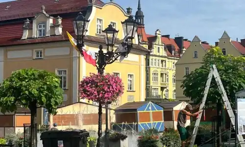 Znów kaleczą drzewa w Rynku