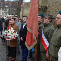 Zdjęcie 25