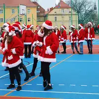Zdjęcie 12