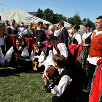 Zdjęcie 7