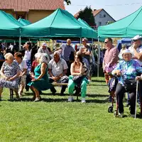 Zdjęcie 11