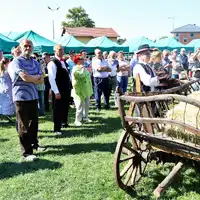 Zdjęcie 14