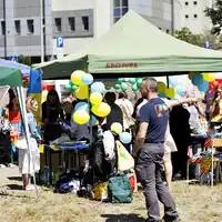 Zdjęcie 25