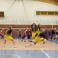 Zdjęcie 17