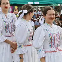 Zdjęcie 16