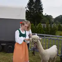 Zdjęcie 6