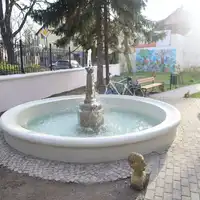 Zdjęcie 10