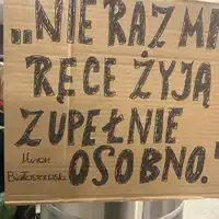 Zdjęcie 12