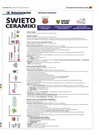 Wydanie 16/2012 (39) - strona 011
