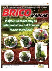 Wydanie 2/2011 (9) - strona 003