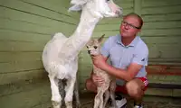 Klekusiowo zaprasza! [WIDEO]