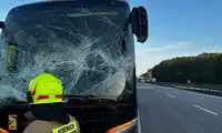 Autobus uderzył w drzewo, które spadło na autostradę A4