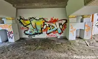 "Malował" sprayem. Grozi mu 5 lat więzienia za napisy i atak na strażniczki
