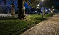 Menele odpoczywają stojąc