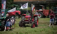 Wielki pokaz starych traktorów w Nowogrodźcu! Są klasyki nawet z lat pięćdziesiątych [FOTO, WIDEO]