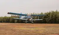 Opryski lasów w powiecie bolesławieckim 