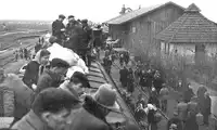 9 maja 1945 roku w zniszczonym Bolesławcu pojawiła się Polska