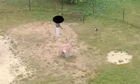 Plac zabaw czy wybieg dla psów?