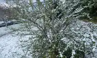 Zimny pocałunek zimy w Bolesławcu