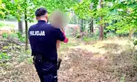 Błyskawiczna reakcja policji w Bolesławcu. 4-letnia dziewczynka zaginęła w pobliżu lasu – funkcjonariusze odnaleźli ją całą i zdrową