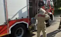 Strażacy w ośrodku zdrowia. Usunęli niebezpieczne gniazdo owadów