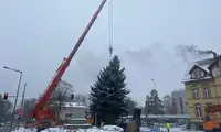 Choinka przy Zgorzeleckiej jednak jest!