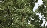 Ostrzeżenie meteorologiczne - burze z gradem