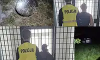 Jaki ojciec, taki syn - kradli we dwóch