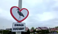 Uwaga, bociany! Tomaszów Bolesławiecki z nowymi znakami w trosce o ptaki
