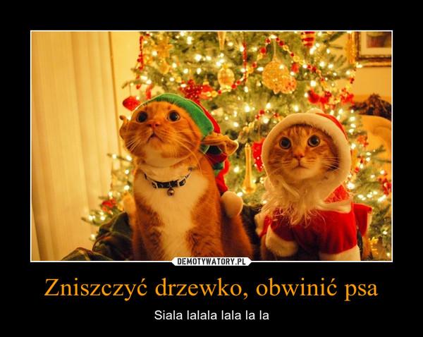 Bolecforum Bolecnauci Kot A Choinka