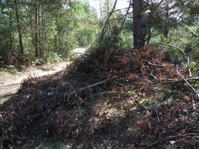 Bolec.Info - zdjęcie