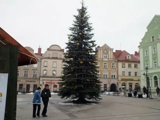 Bolec.Info - zdjęcie