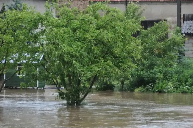 Bolec.Info - zdjęcie