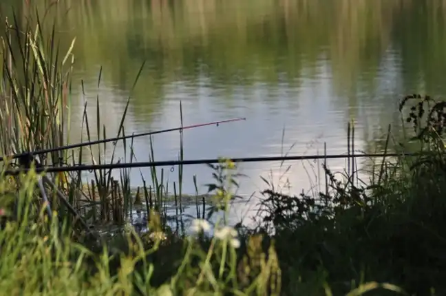 Bolec.Info - zdjęcie