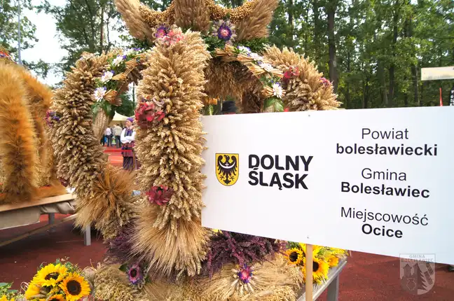 Bolec.Info - zdjęcie