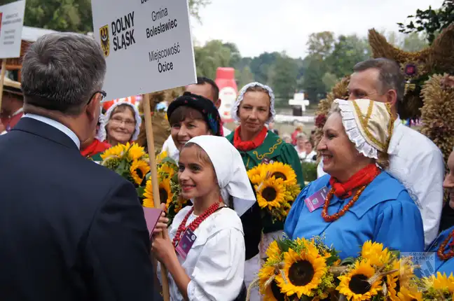 Bolec.Info - zdjęcie