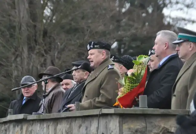 Bolec.Info - zdjęcie