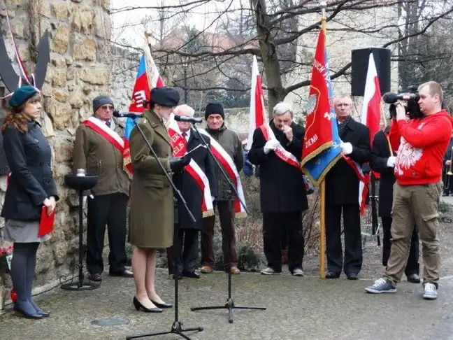 Bolec.Info - zdjęcie