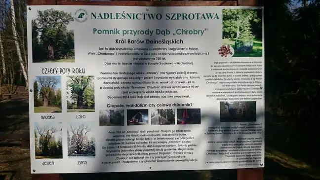 Bolec.Info - zdjęcie