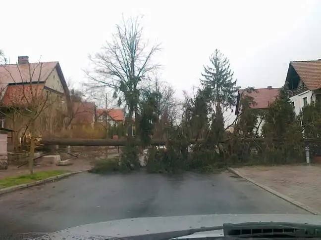 Bolec.Info - zdjęcie