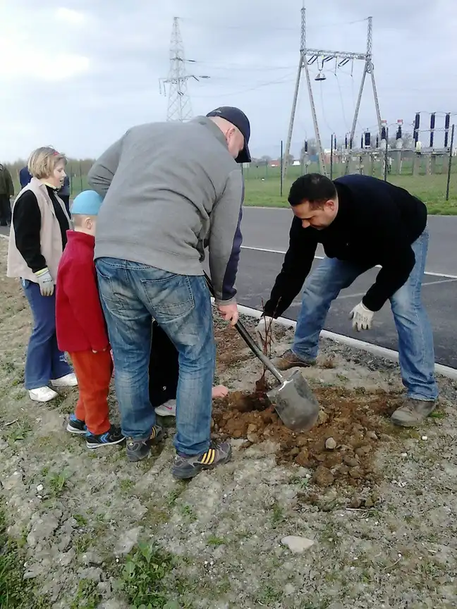 Bolec.Info - zdjęcie