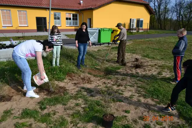 Bolec.Info - zdjęcie