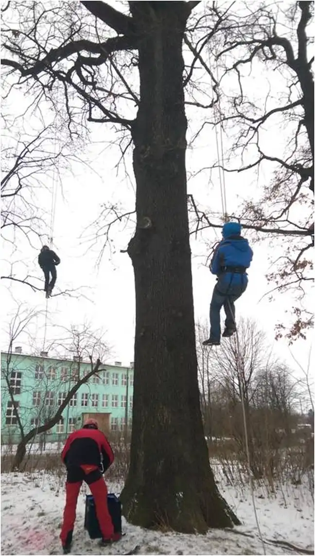 Bolec.Info - zdjęcie