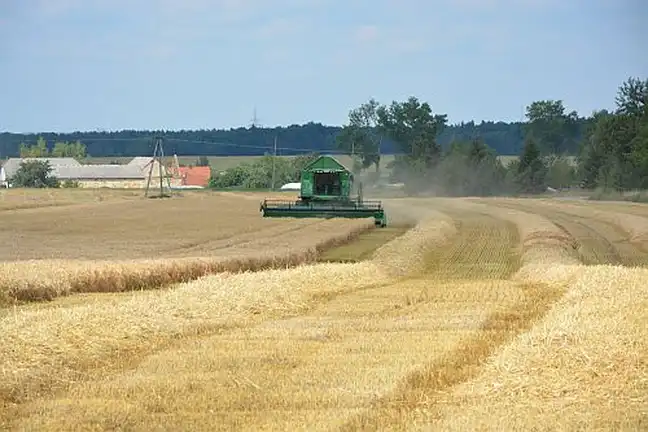 Bolec.Info - zdjęcie