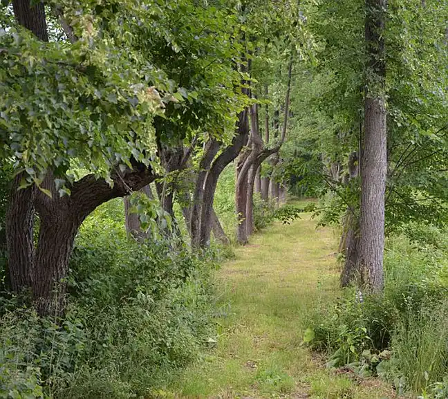 Bolec.Info - zdjęcie